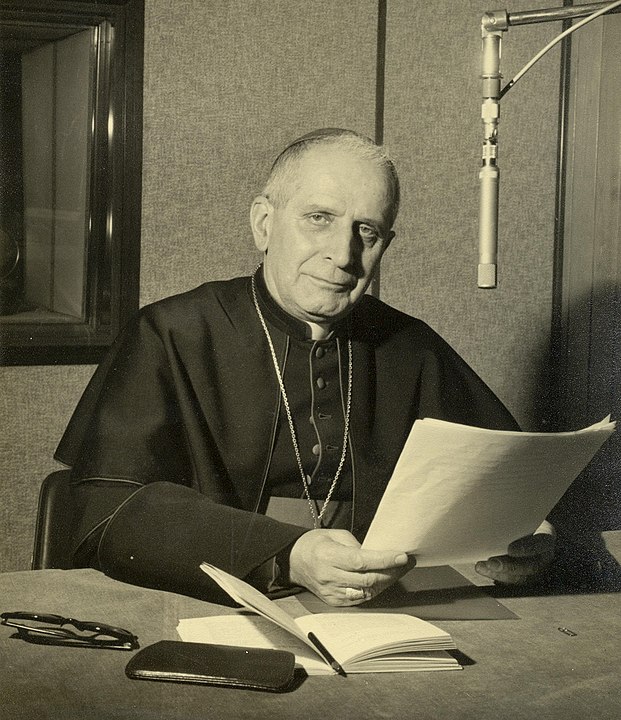 Michele Pellegrino: aspetti e momenti di una biografia